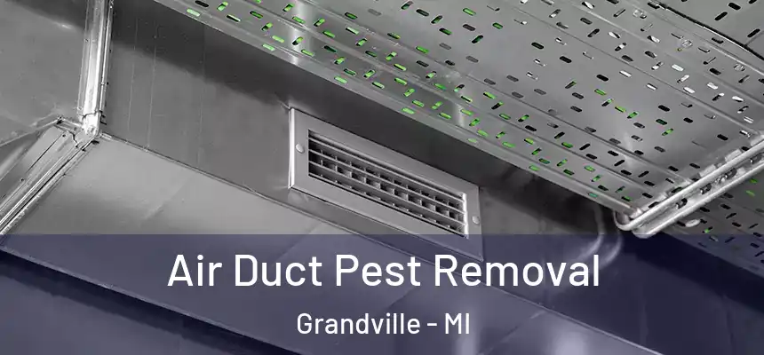 Air Duct Pest Removal Grandville - MI