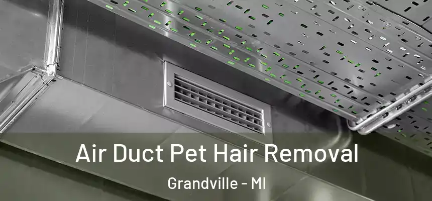Air Duct Pet Hair Removal Grandville - MI