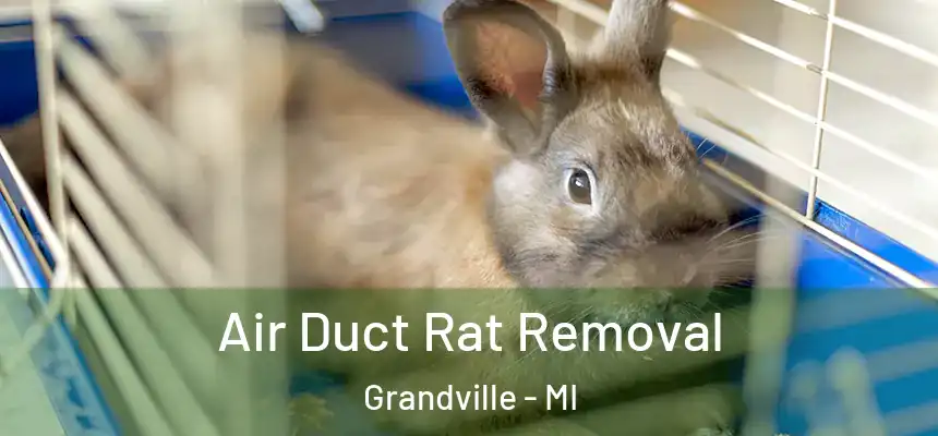 Air Duct Rat Removal Grandville - MI