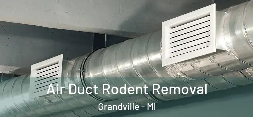 Air Duct Rodent Removal Grandville - MI