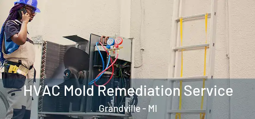  HVAC Mold Remediation Service Grandville - MI