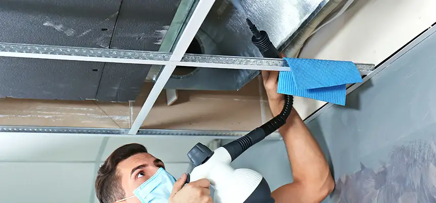 Our Air Duct Rodent Removal Services in Grandville, MI