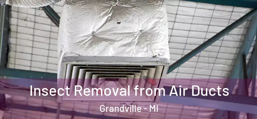  Insect Removal from Air Ducts Grandville - MI
