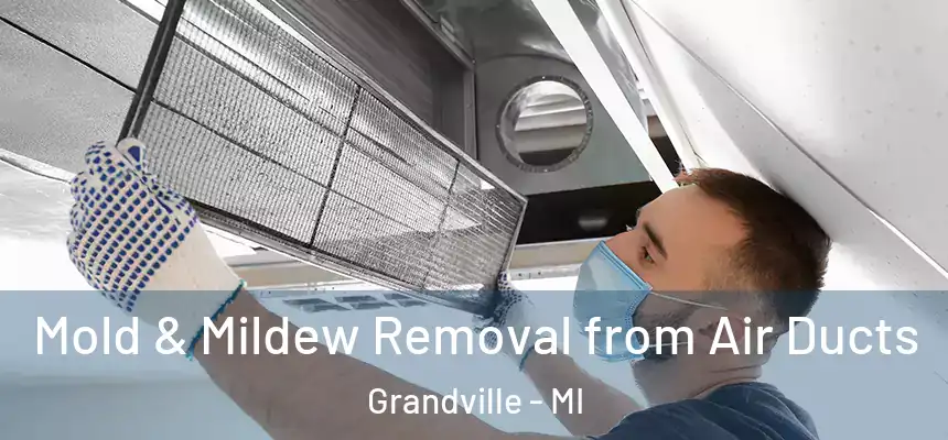  Mold & Mildew Removal from Air Ducts Grandville - MI
