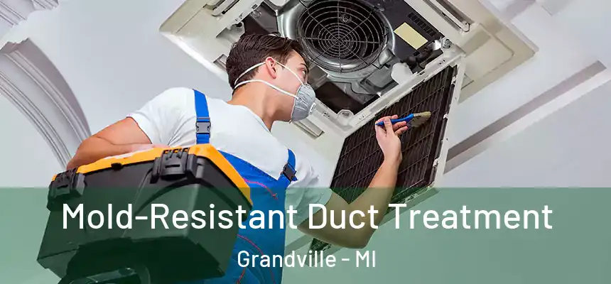 Mold-Resistant Duct Treatment Grandville - MI