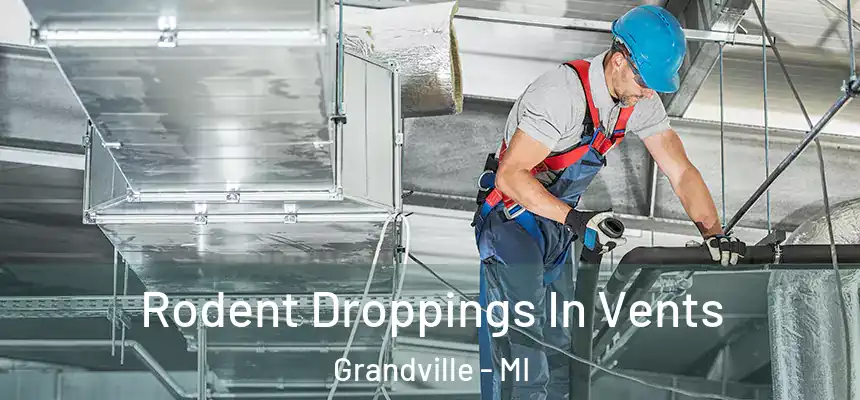 Rodent Droppings In Vents Grandville - MI