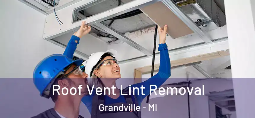  Roof Vent Lint Removal Grandville - MI