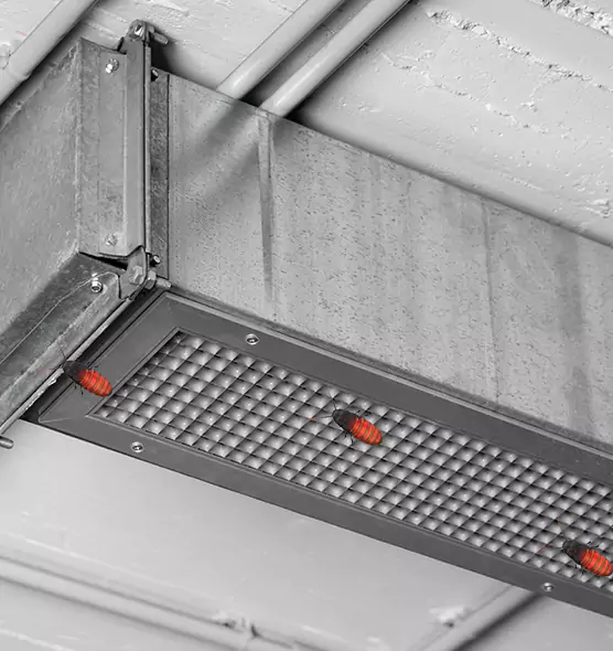 About Air Duct Cockroach Removal in Grandville, MI