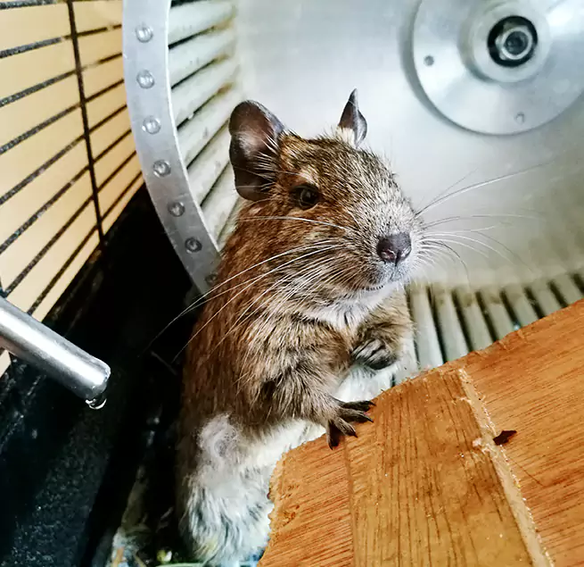 Why Homeowners & Businesses Trust Us Grandville, MI