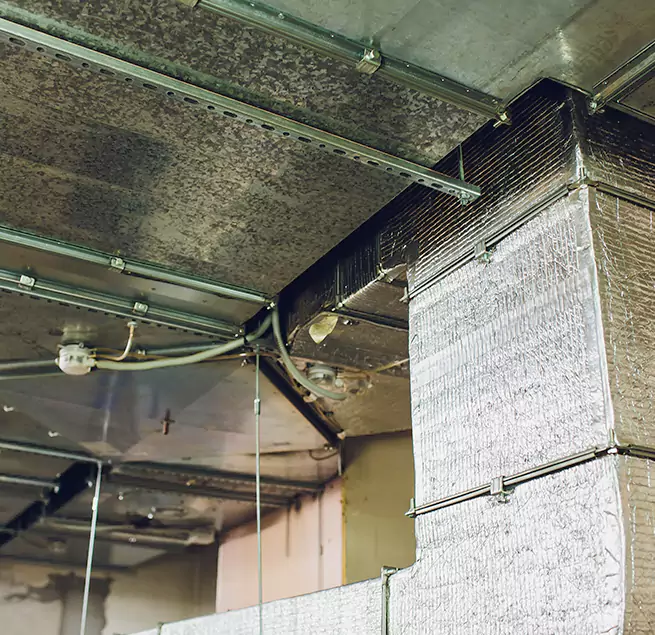 Why Homeowners & Businesses Trust Us in Grandville, MI?